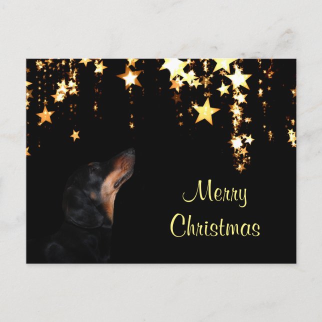 Cartão Postal De Festividades Dachshund Christmas (Frente)