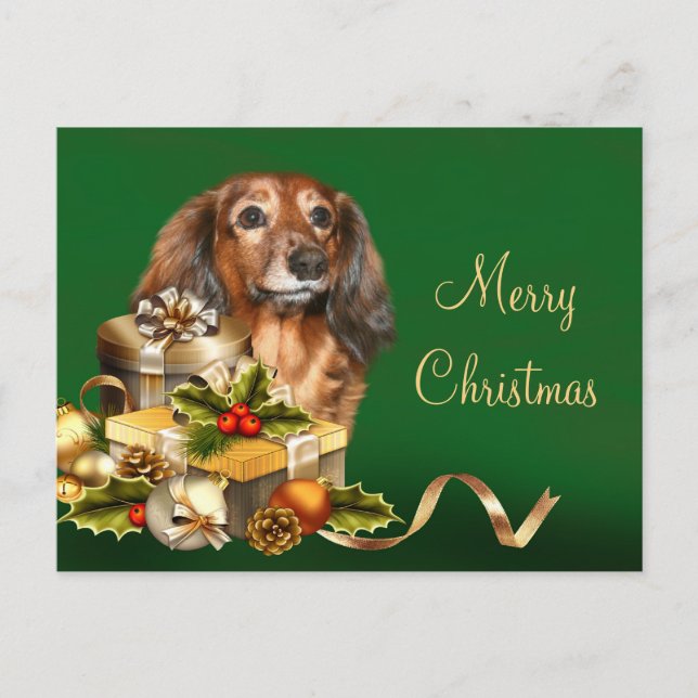 Cartão Postal De Festividades Dachshund Christmas (Frente)