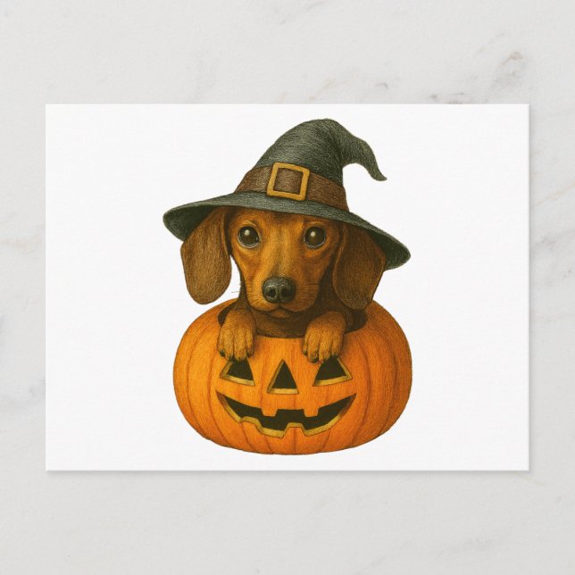Cartão Postal De Festividades Dachshund em Pumpkin (Frente)