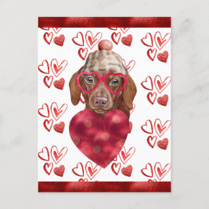 Cartão Postal De Festividades Dachshund Hearts Dog Namorados do sobrevoo Dachshu