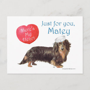 Cartão Postal De Festividades Dachshund no Dia dos Namorados