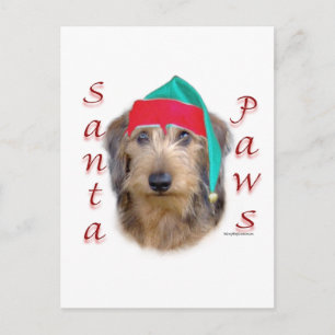 Cartão Postal De Festividades Dachshund Pé de Pata de Natal