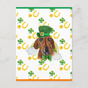 Cartão Postal De Festividades Dachshund Vermelho Trevo de São Patrício Dia de Sã