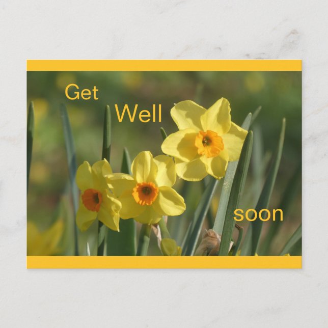 Cartão Postal De Festividades Daffodils Yellow Orange Cust. Get Well Postcard (Frente)