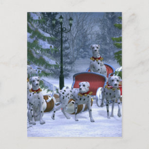 Cartão Postal De Festividades Dalmatianos de Natal