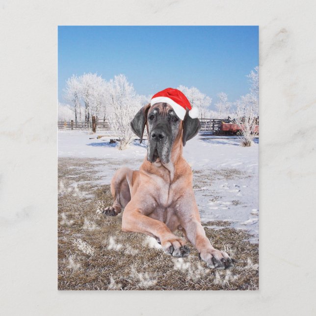 Cartão Postal De Festividades Dane de Natal (Frente)