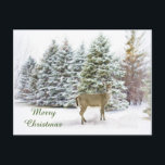 Cartão Postal De Festividades Deer in Winter Wonderland Merry Christmas Postcard<br><div class="desc">Este cartão postal de Natal apresenta uma fotografia recortada de árvores cobertas de neve, e então um recorte de neve é adicionado como uma camada, seguida de um recorte de um veado maduro de cauda branca. Este cartão postal de feriado único é uma das minhas criações. Você pode personalizar esta...</div>