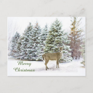 Cartão Postal De Festividades Deer in Winter Wonderland Merry Christmas Postcard