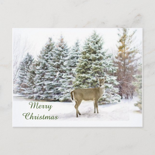 Cartão Postal De Festividades Deer in Winter Wonderland Merry Christmas Postcard (Frente)