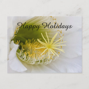 Cartão Postal De Festividades Dentro de um cacto branco em flor