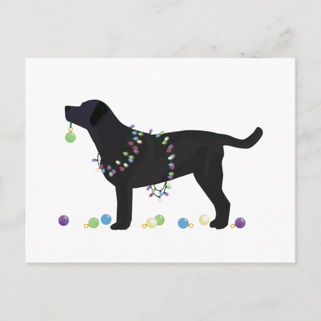 Cartão Postal De Festividades Design de Natal Merry Black Lab (Frente)
