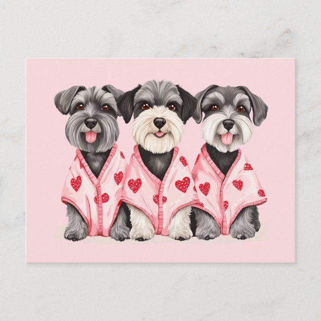 Cartão Postal De Festividades Dia de os namorados Schnauzer Cães (Frente)