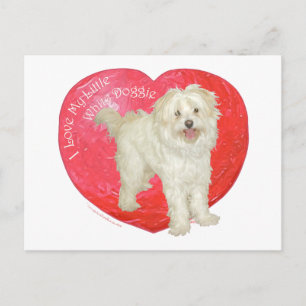 Cartão Postal De Festividades Dia dos namorados da mistura de Havanese/Westie