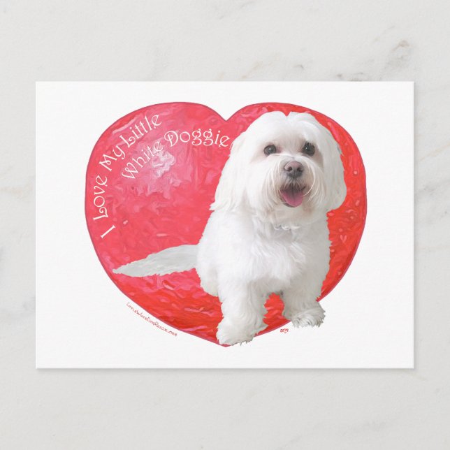 Cartão Postal De Festividades Dia dos namorados de Havanese (Frente)