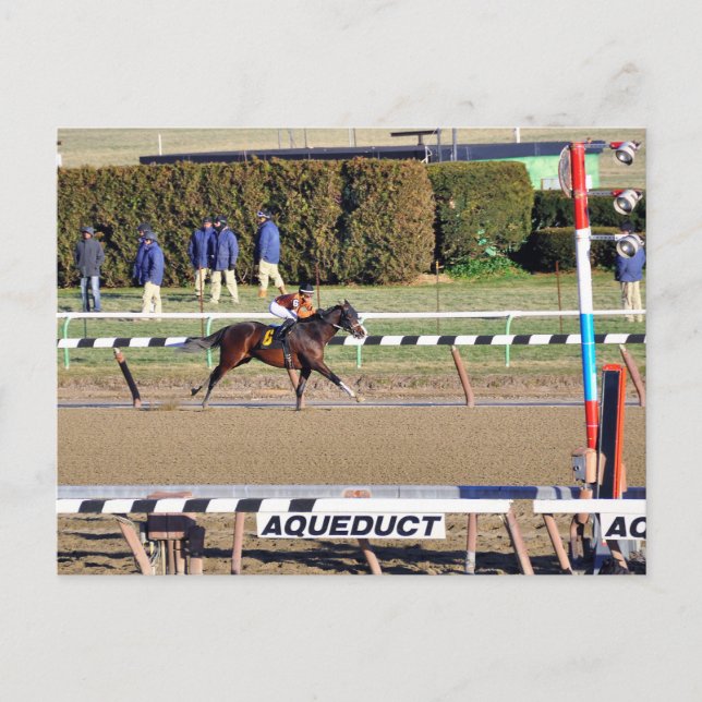 Cartão Postal De Festividades Diálogo Pacífico Vence no Dia de Ano Novo (Frente)