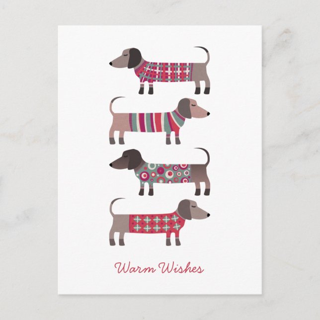 Cartão Postal De Festividades Diversão Dachshund Dog (Frente)