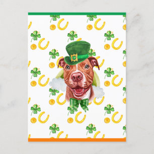 Cartão Postal De Festividades Divertido Pitbull Shamrock Dia de São Patrício