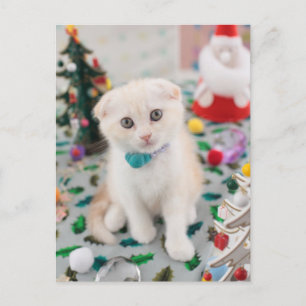 Cartão Postal De Festividades Dobra Escocesa No Natal