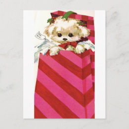 Cartão Postal De Festividades Doce Natais vintages Puppy Bichon Lhasa Maltês