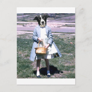 Cartão Postal De Festividades Dog Easter