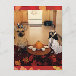 Cartão Postal De Festividades Dog Thanksgiving