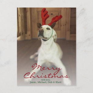Cartão Postal De Festividades Dog wearing reindeer antlers