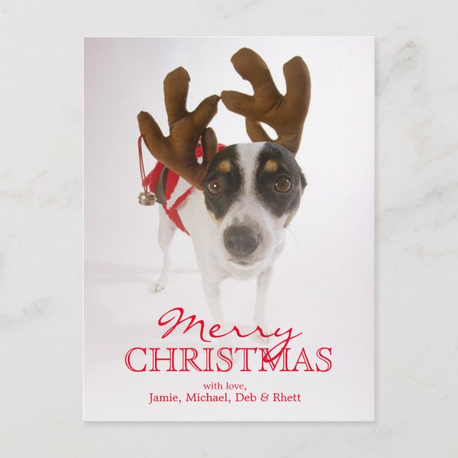 Cartão Postal De Festividades Dog With Antlers And Bell (Frente)