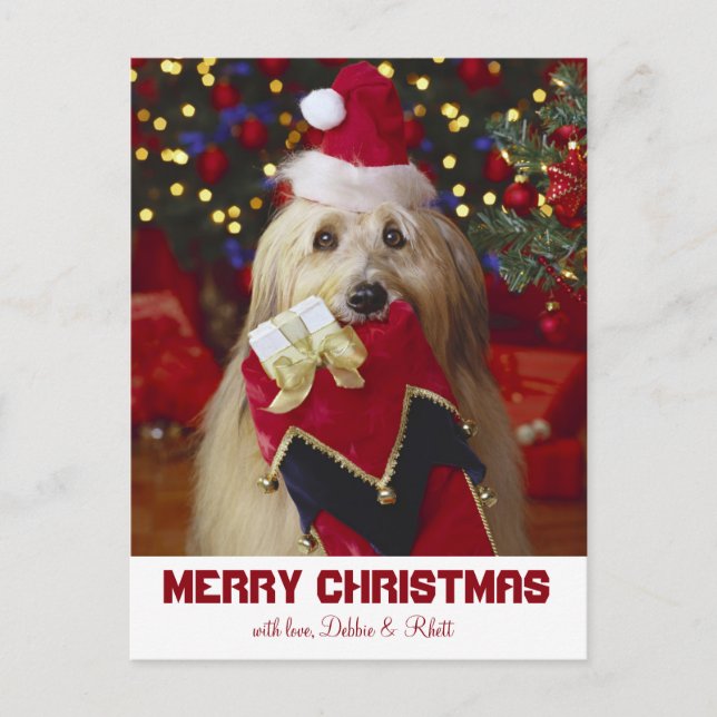 Cartão Postal De Festividades Dog with Christmas stocking (Frente)