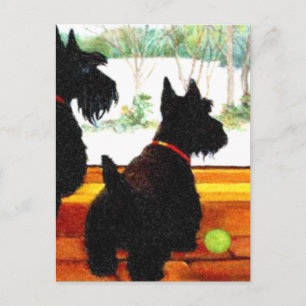 Cartão Postal De Festividades Dois cães escoceses à espera do Papai Noel