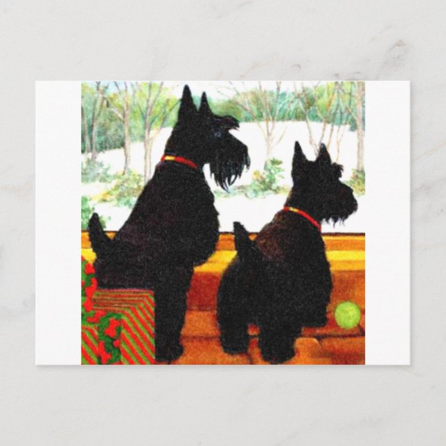 Cartão Postal De Festividades Dois Cães Scottie No Natal (Frente)