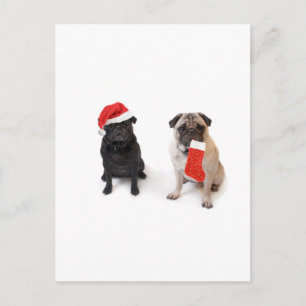 Cartão Postal De Festividades Dois putos de natal