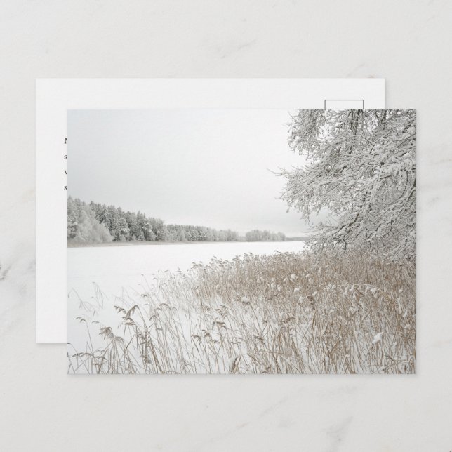 Cartão Postal De Festividades Dreamy winter lake, New Year (Frente/Verso)