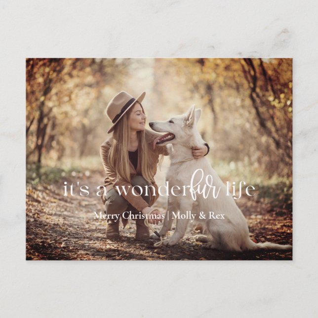 Cartão Postal De Festividades É uma Vida Maravilha: Cartão-postal de Natal Pet (Frente)