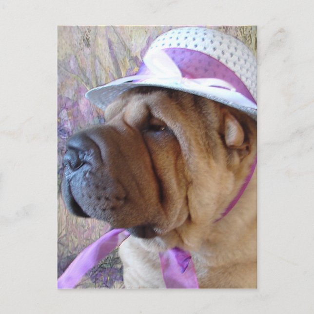 Cartão Postal De Festividades Easter Bonnet (Frente)