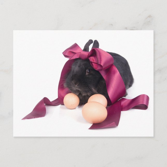 Cartão Postal De Festividades Easter Bunny (Frente)