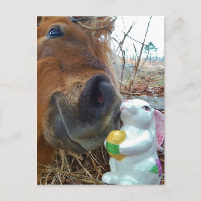 Cartão Postal De Festividades Easter Bunny and Brown horse (Frente)