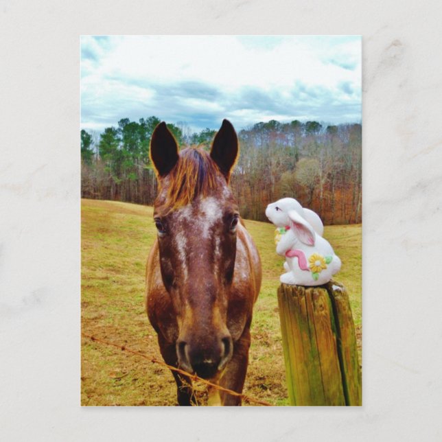 Cartão Postal De Festividades Easter Bunny and Brown horse (Frente)