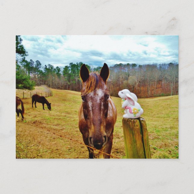 Cartão Postal De Festividades Easter Bunny and Brown horse (Frente)
