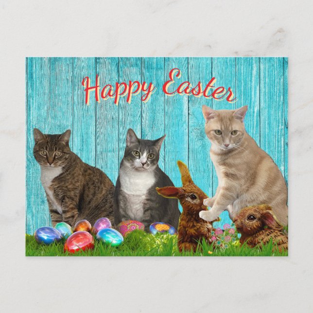 Cartão Postal De Festividades Easter Card - Cats and Bunnies (Frente)