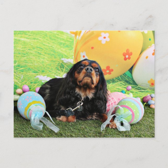Cartão Postal De Festividades Easter - Cavalier King Charles Spaniel - Charlie (Frente)