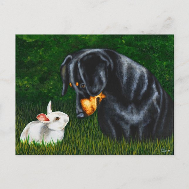 Cartão Postal De Festividades Easter Eye to Eye - Dachshund Dog and Bunny Rabbit (Frente)