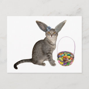 Cartão Postal De Festividades Easter Kitten Postcards