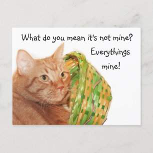 Cartão Postal De Festividades Easter kitty