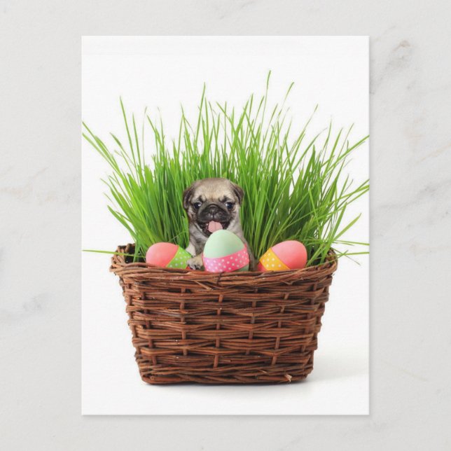 Cartão Postal De Festividades Easter pug puppy (Frente)