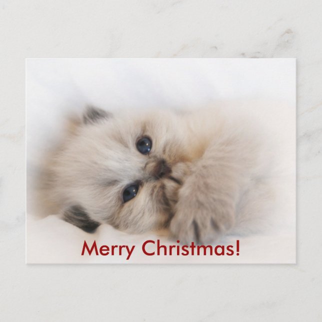 Cartão Postal De Festividades ebay 003, Feliz Natal! (Frente)