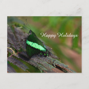 Cartão Postal De Festividades Emerald Swallowtail, Felizes Festas