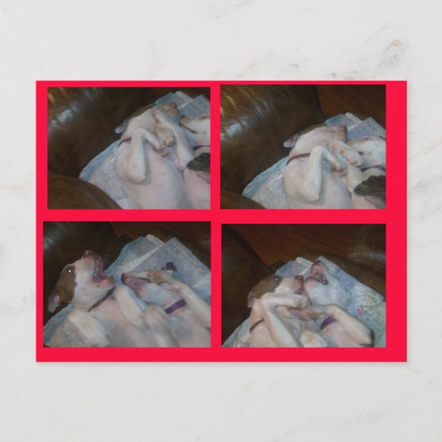 CARTÃO POSTAL DE FESTIVIDADES ENCAIXOTAMENTO MATILDAS WAITIN NO PAPAI NOEL (Frente)