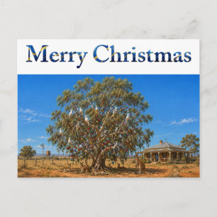 Cartão Postal De Festividades Enfeites de Natal Australiano em árvore de eucalip
