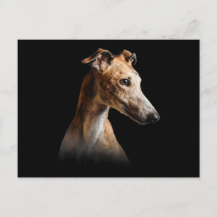 Cartão Postal De Festividades Engraçado Greyhound Sorria de galinha