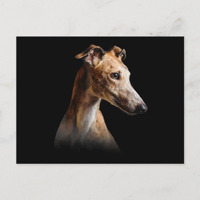 Cartão Postal De Festividades Engraçado Greyhound Sorria de galinha (Frente)